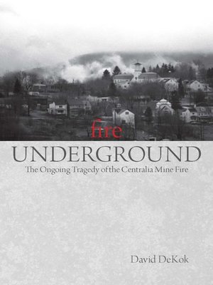 cover image of Fire Underground